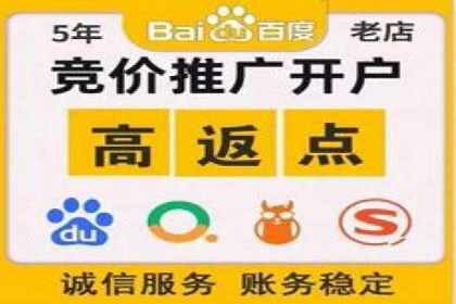 案例解读：SEM托管助力电商销售增长